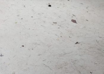 Soledad vuelve a sonar… pero no por carnaval